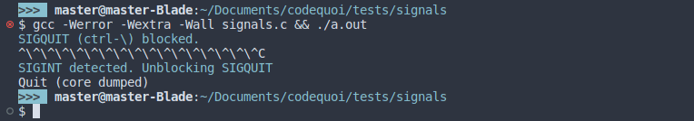 Résultat d’un programme de test en C qui démontre comment intercepter et bloquer un signal.