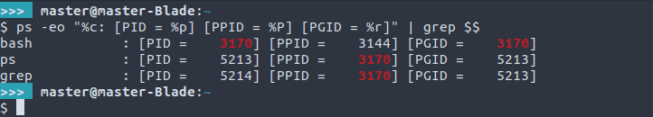 Résultat de la commande ps qui montre le PID, le PPID et le PGID d’un processus.