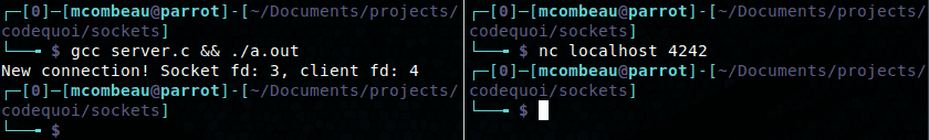 Résultat d’un programme serveur qui détecte une nouvelle connexion grâce à une socket.